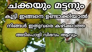 Jackfruit mutton combination variety special recipes in malayalam | Cooking skills amazing primitive