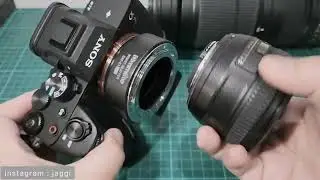 AutoFocus Speed Test - Sony A7IV A74  with COMMLITE ENF-E1 pro  and Nikkor AF-s 50mm f1.4 G
