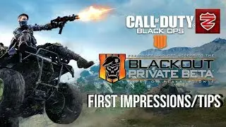 BLACKOUT BO4 BETA (PS4 & PC) | BEST TYPES OF GUNS TO USE | IMPRESSIONS