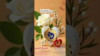 &ldquo;Kur&rsquo;an, karanlıkta yolumuzu aydınlatan nurdur.&rdquo; ✨#Kur&rsquo;an #Nur #Hidayet #İslam #Ayet #DiniVideo