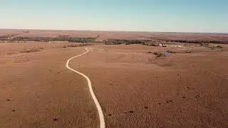 Flying Over Bison in Kansas Tallgrass Prairie