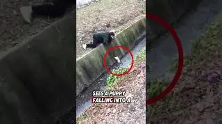 This brave girl rescued a helpless puppy that had fallen into a drain #rescue #puppy
