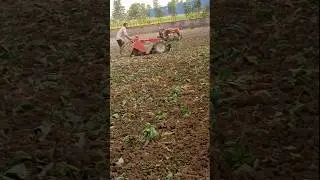 #The land is being cultivated by hand.# short video