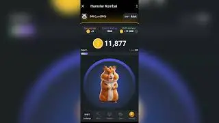 Hamster Kombat! Как быстро заработать пока ЕЩЁ НЕ ПОЗДНО! Советы по игре