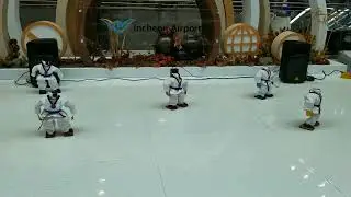 Gangnam Style Robot Dance at Incheon Airport