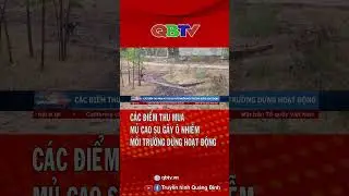 C&aacute;c điểm thu mua mủ cao su g&acirc;y &ocirc; nhiễm m&ocirc;i trường dừng hoạt động | QBTV #shorts