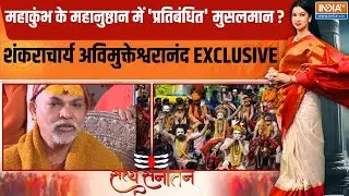 Satya Sanatan: महाकुंभ के महानुष्ठान में क्यों 'प्रतिबंधित' मुसलमान?..अविमुक्तेश्वरानंद EXCLUSIVE