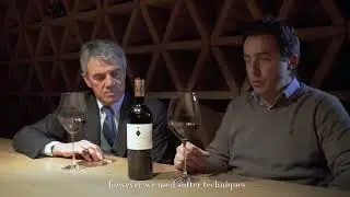 Renzo Cotarella & Marco Ferrarese - Guado al Tasso 2017