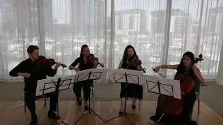String quartet for hire (CC)