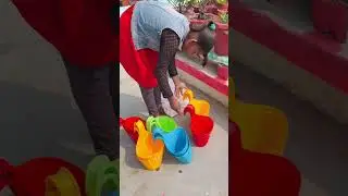 Know the beautiful hanging pot with price #shorts #hanging #pot #price #shortvideo