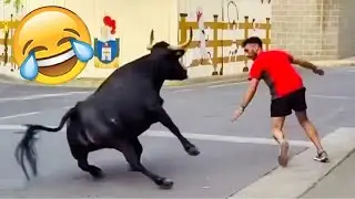 Best Funny Videos Of 2025 😂 TRY NOT TO LAUGH Funny Videos #15 😂