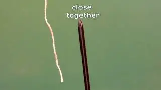 The Strength of the Static Electric Interaction
