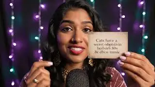 Surreal ASMR: Disco Cats & Butterfly Feet
