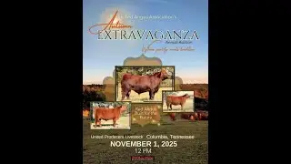Southeast Red Angus Association - SE Red Angus Autumn Extravaganza