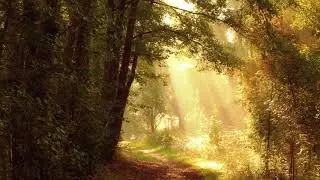 Morning Breeze | Ambient music | Instrumental music