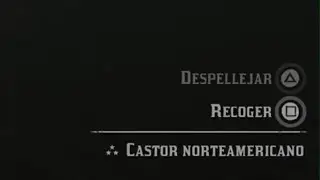 Ubicacion de caza CASTOR NORTEAMERICANO en PERFECTO estado FACIL| Red Dead Redemptio 2 | Im_pache