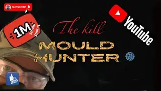 How to clean mould in your home with a localised cleaner