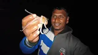 Jay Aadivasi 🙏nawapur makul😂