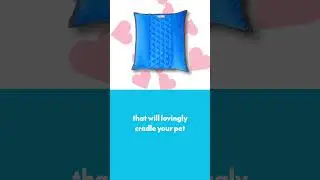 The Best Bed For Small Pets  #pets #smallanimal #petbed