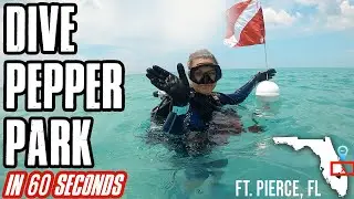 Pepper Park Ft Pierce Beach Dive - Down to 60
