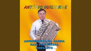Tango das Camélias
