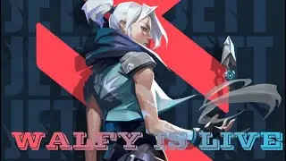 valorant | walfy