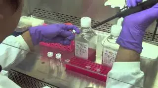 nanoTherics transfection product guide and protocol