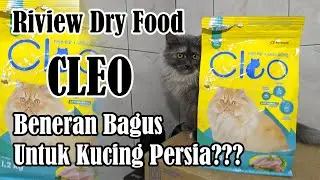 REVIEW CLEO PERSIAN - MAKANAN KERING/DRY FOOD YANG COCOK BUAT KUCING PERSIA???
