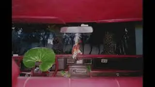 Fuego en Cairo - Lava