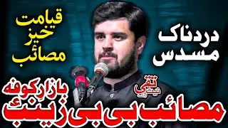 Zakir Syed Aoun Abbas Rabani | Majlis | Masaib Bibi Zainab