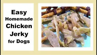 Простое домашнее вяленое куриное мясо для собак &mdash; фаворит Ракеты!