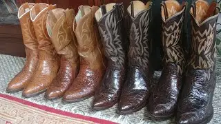 My Sea Turtle (Caguama) cowboy boot collection 🐢