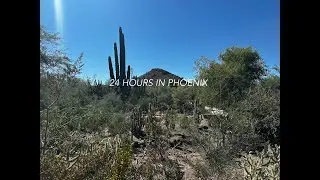 24 HOURS IN PHOENIX: RESTAURANT + COFFEE SHOPS | EXPLORING PIESTEWA PEAK | STREET ART + MUSEUMS