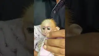 dad massage for baby🥰