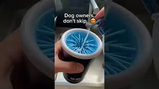 Automatic paw cleaner😇 Link in bio