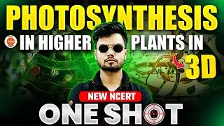 Photosynthesis in Higher Plants 🌿 | NEET 2025 Biology One Shot | Plant Physiology | Basavaraj Sir