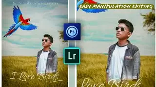 Ps touch mobile editing 2020 | flying parrot concept photo edit | manipulation edit step by step..🔥🔥