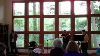 Call it Five composed and performed by Chris Brooks featuring Robin Seletsky