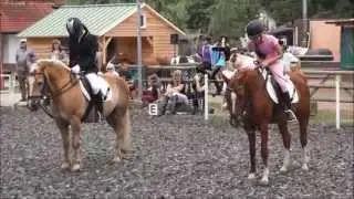 Hofturnier des Ponyhof Wolteritz am 13. Juli 2014