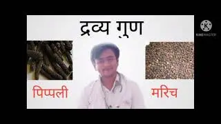 pipali marich ka gud viry  vipak visisth yog