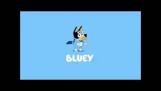 Bluey 2016 lost pilot intro song