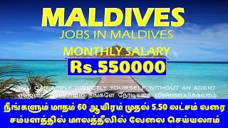 Maldives Jobs in Tamil | Foreign Jobs For Indian | Jobs Abroad | Maldives Job Vacancy | Velai Vaippu