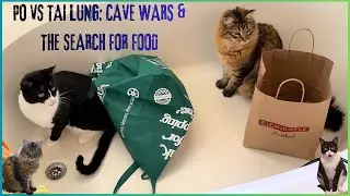 Po vs Tai Lung: Kung Fu Panda Cat Showdown 🐼😼#KungFuPanda #SockTheCatg cave bags dumplings storage