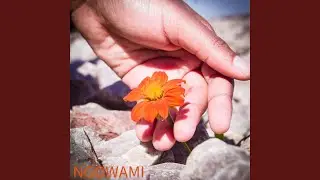 Ngowami
