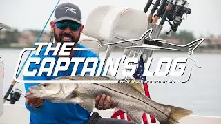 Tackle Box Tip: IMPORTANT Summertime Fishing Technique