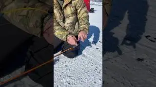 Homemade Jaw Jacker