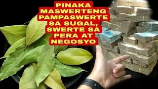 PINAKA MASWERTENG PAMPASWERTE SA SUGAL, SWERTE SA PERA AT NEGOSYO-APPLE PAGUIO1