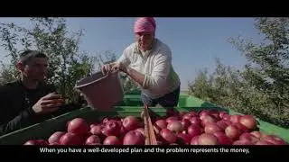 LIVADA MOLDOVEI - Filiera Investițiilor Inteligente | Documentar AGRICULTURA IN MOLDOVA