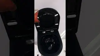 carnival rimless black wc inside glossy and outside matt #shots #bathroom  #viral #cera #trending