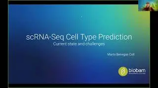 Multi-Reference scRNA-Seq Cell Type Annotation with OmicsBox